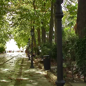 Rual Centro Ronda