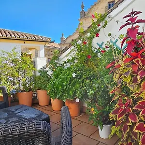  Apartment Los Descalzos Angel With Private Terrace Free Parking